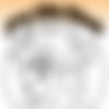 WorldOfSmudge/Smudge.New/Teen
