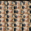 Cum_Passion thumbnail