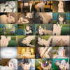 Shoujo Ramune [DVDRip][DECEN]UniFab_WF2xUniFab thumbnail