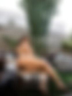 [W4B]-2023-07/[W4B]-2023-07-01 - Ellie Luna - My Love (72) 5464x8192/000.jpg