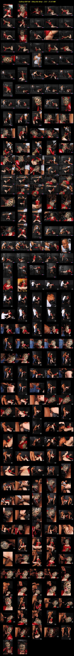 Latex Lucy DDF Collection/Contact Sheets/Gallery DDF 06 - Obey the Kitty.jpg