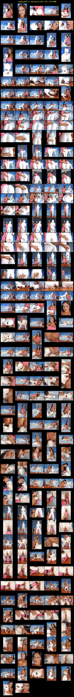 Latex Lucy DDF Collection/Contact Sheets/Gallery DDF 13 - Her Life as a Pet.jpg
