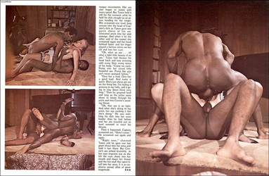 Swedish Erotica № 11,28,35/Swedish Erotica 11/1 (15).jpg