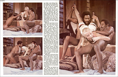 Swedish Erotica № 11,28,35/Swedish Erotica 11/1 (5).jpg