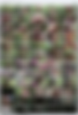 [EvilAngel] Scarlet Chase 4K Pack [10 videos]/Thumbnails/evilangel.21.06.07.scarlet.chase.stuffing.my.gym.clothes.in.my.ass.4k.mp4.jpg