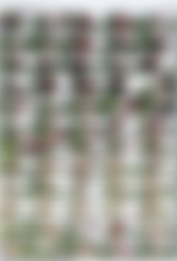 [EvilAngel] Scarlet Chase 4K Pack [10 videos]/Thumbnails/evilangel.21.11.19.scarlet.chase.oil.delight.4k.mp4.jpg