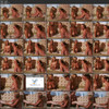 bustybrits.com thumbnail