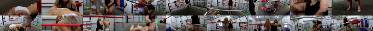 Lady and the Champ WMV.wmv screencaps